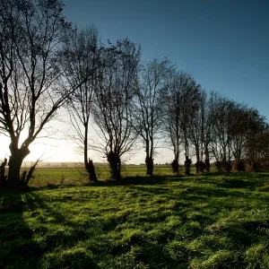 The Somme - Ginchy The Somme - Ginchy