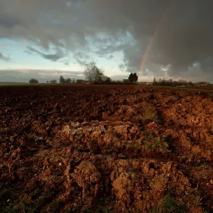 The Somme - Guillemont The Somme - Guillemont