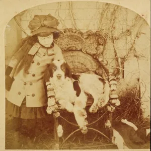 SPANIEL PHOTO 1882D SPANIEL PHOTO 1882D