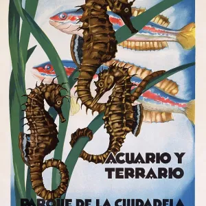 Spanish poster, Zoological Garden, Barcelona, Spain Spanish poster, Zoological Garden, Barcelona, Spain