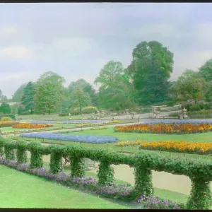 Spring bedding at Kew Gardens Spring bedding at Kew Gardens