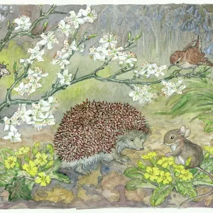 Spring Time Greeting - hedgehog, mouse, primroses etc Spring Time Greeting - hedgehog, mouse, primroses etc