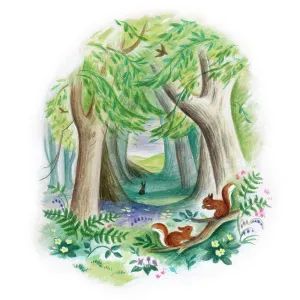 Squirrels in a Woodland Glade Squirrels in a Woodland Glade