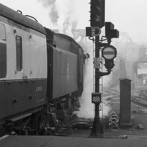 STEAM TRAIN