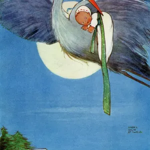 The Storks The Storks
