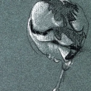 Study of a bird Study of a bird