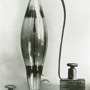 Swan lamp Swan lamp