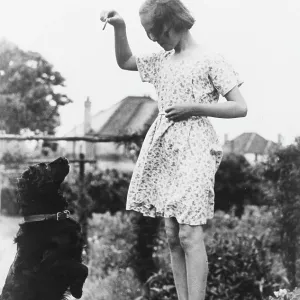 TEACHING A DOG TRICKS TEACHING A DOG TRICKS