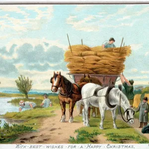 A team of shire horses pulling a harvest wagon A team of shire horses pulling a harvest wagon