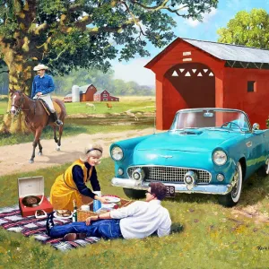 A Thunderbird Summer A Thunderbird Summer