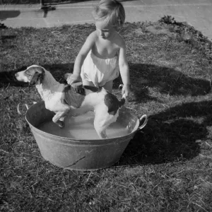 Toddler giving dog a bath in the garden Toddler giving dog a bath in the garden