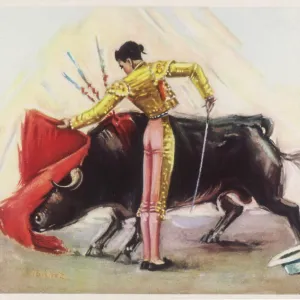 TOREADOR AND BULL