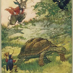 TORTOISE AND HARE (FOL) TORTOISE AND HARE (FOL)