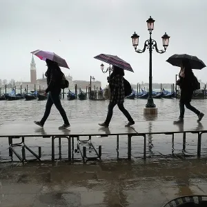 Tourists carrying umbrellas on temporary walkway, Venice Tourists carrying umbrellas on temporary walkway, Venice