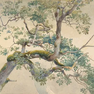 Tree Branches, 1852?1908, Watercolor over graphite Tree Branches, 1852?1908, Watercolor over graphite