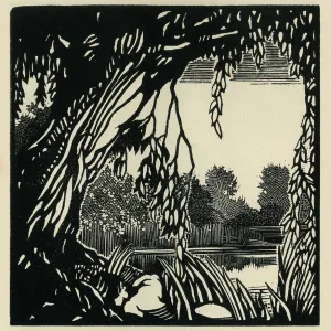 Tribute - The Willow Tribute - The Willow