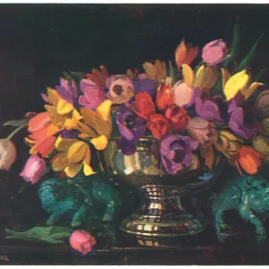 Tulips Tulips