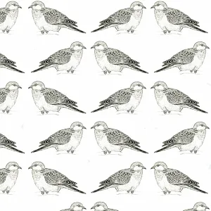 Turtle dove repeating pattern Turtle dove repeating pattern