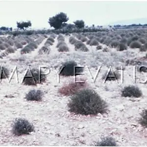UFOS/MASSE / VALENSOLE