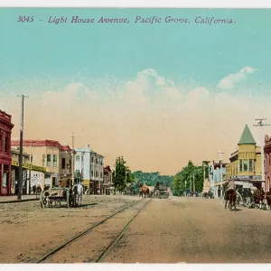 USA/PACIFIC GROVE USA/PACIFIC GROVE