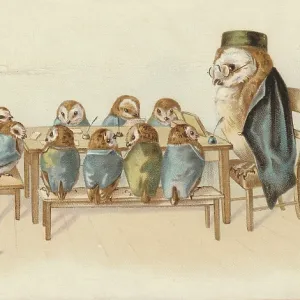 Victorian Greeting Card - Professor Owl Victorian Greeting Card - Professor Owl