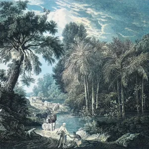 A view in the Island of Jamaica, of the spring-head of Roari A view in the Island of Jamaica, of the spring-head of Roari