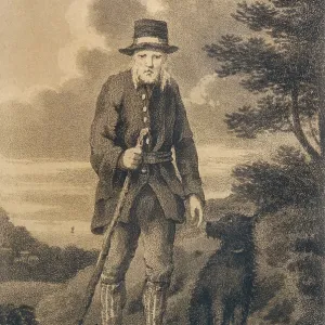 WELSH SHEPHERD WELSH SHEPHERD