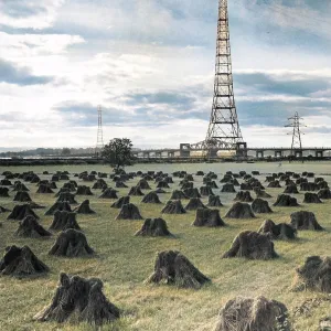 WHEAT FIELD/PYLONS WHEAT FIELD/PYLONS