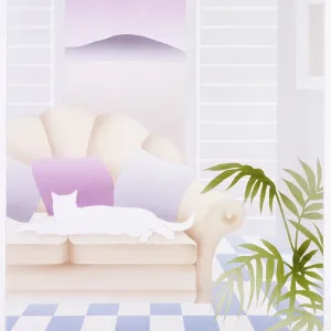 White cat on a sofa White cat on a sofa