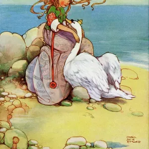 The Wild Swans The Wild Swans
