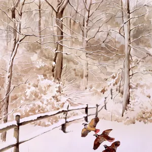 Winter scene with three birds flying over a field Winter scene with three birds flying over a field