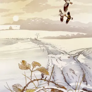 Winter scene with birds and snow Winter scene with birds and snow