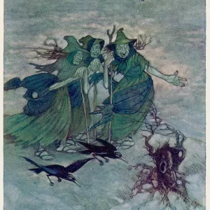 THE WITCHES THE WITCHES