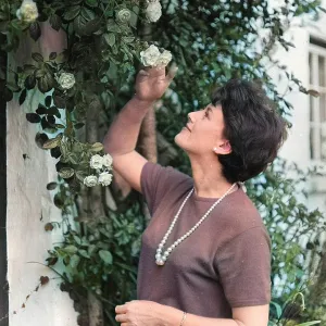 Woman with roses Woman with roses