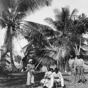 Workers in a palm grove, Jamaica Workers in a palm grove, Jamaica