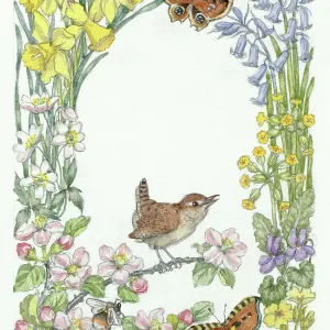 Wren and two butterflies, with spring flowers Wren and two butterflies, with spring flowers