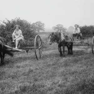 WW2 - Haymaking with horses at Stevington
