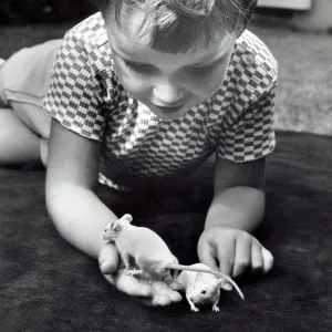 A young boy with two white pet mice A young boy with two white pet mice
