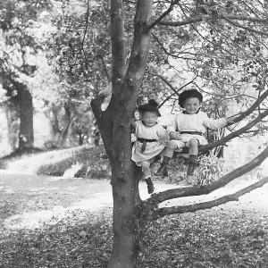 YOUNG CHILDREN IN A TREE YOUNG CHILDREN IN A TREE