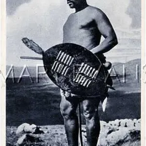 A ZULU WARRIOR A ZULU WARRIOR