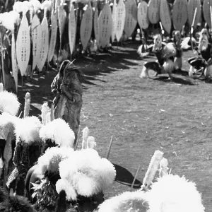 Zulu Warriors Dancing Zulu Warriors Dancing