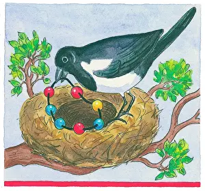 Magpie: 1 2 3 for You and Me
