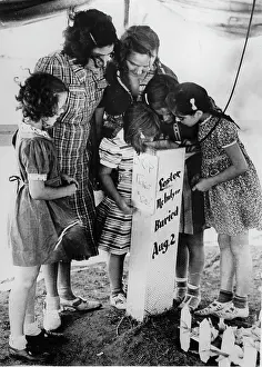 Cents: With 10 cents people can see Lester