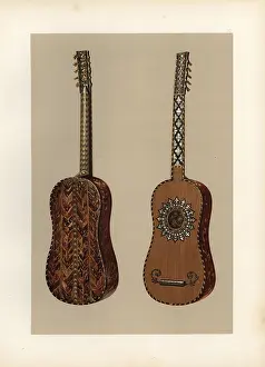 Musicologist: The 10-string Rizzio guitar in tortoiseshell with ivory
