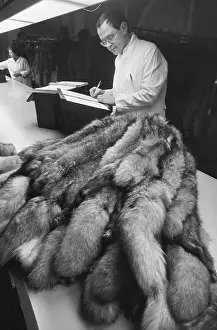 Furs: 105th fur auction