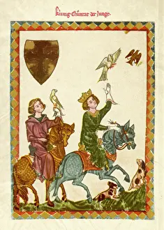 Hawking: 13TH CENT HAWKING