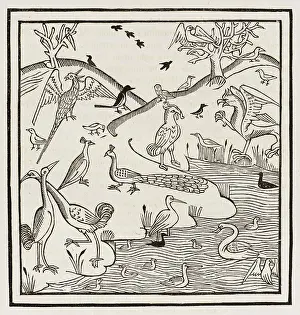 Worde: 15TH CENTURY BIRDS