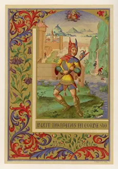 Jesters: 15TH CENTURY JESTER