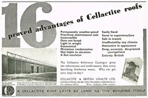 Advantages: 16 Advantages Of Cellactite