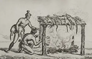 Alligator: 16th century French expedition. Florida. Timucua cooking